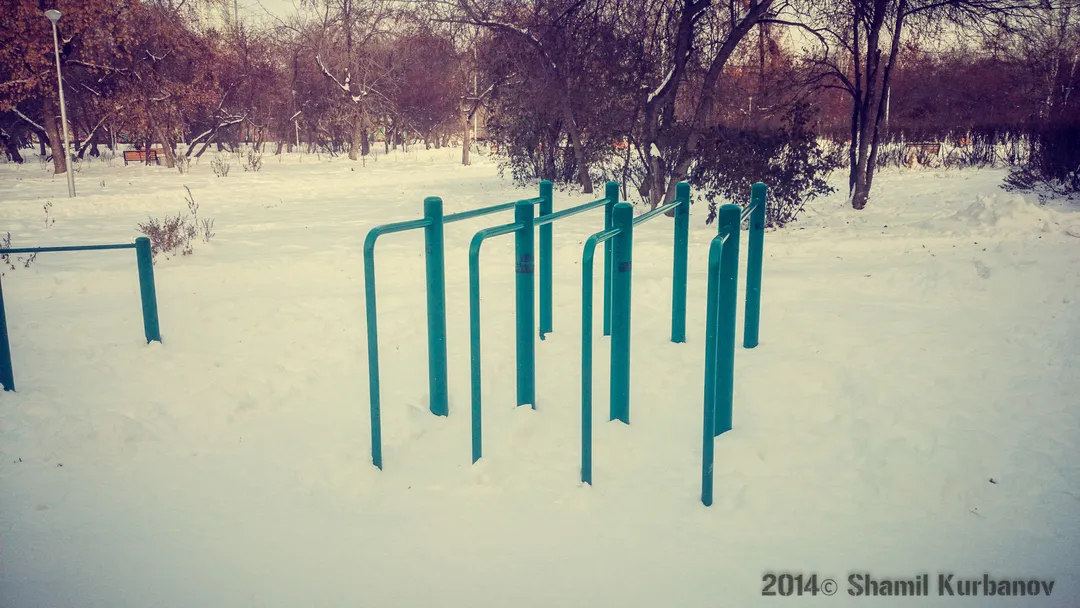 Barras de Mono en Calisthenics Park at Сад им. Павлика Морозова, Екатеринбург – foto 3 de 11