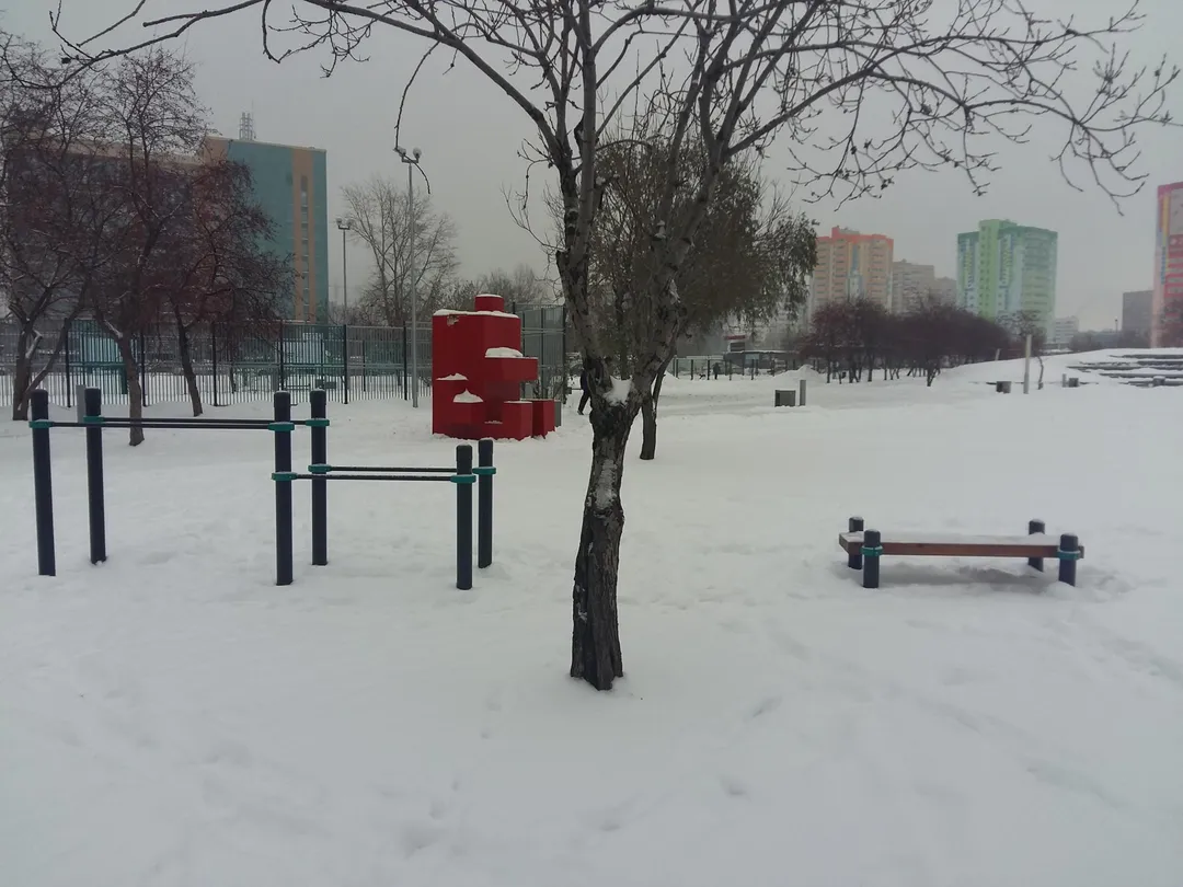 Parallel Gym Bars at Calisthenics Park at Екатерининская улица, Пермь – photo 2 of 11