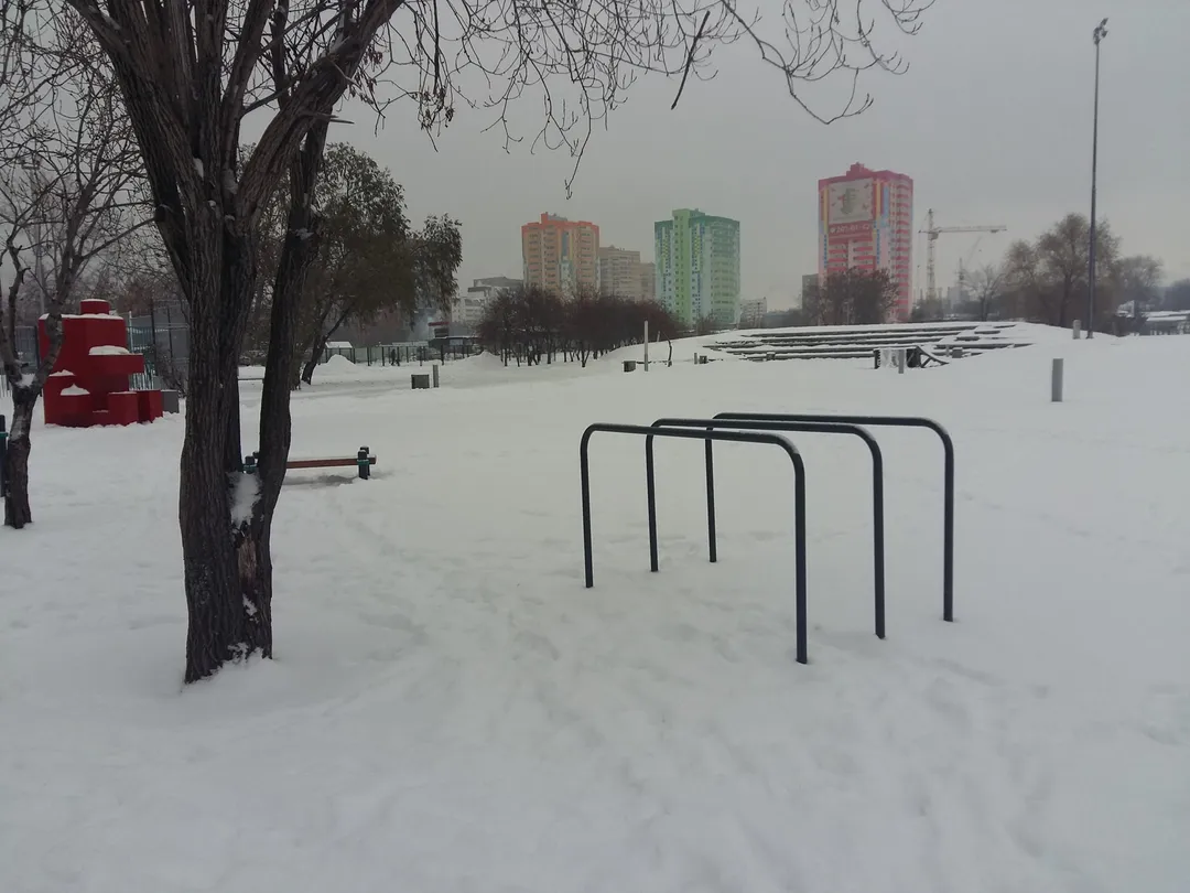 Monkey Bars at Calisthenics Park at Екатерининская улица, Пермь – photo 3 of 11