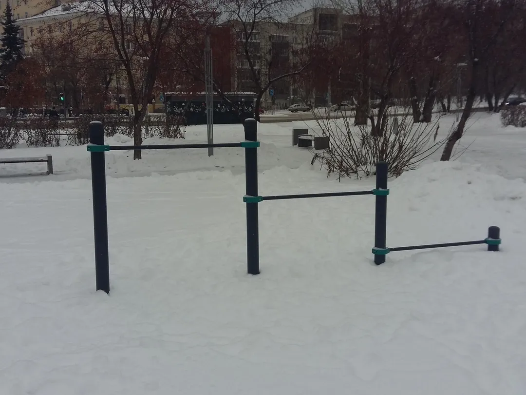 Monkey Bars at Calisthenics Park at Екатерининская улица, Пермь – photo 9 of 11