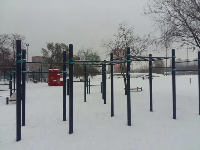 Calisthenics Park at Екатерининская улица, Пермь