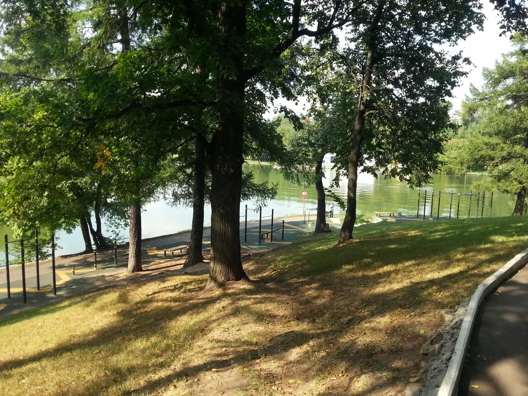 Abs Bench at Calisthenics Park at Летняя улица, Москва – photo 6 of 6