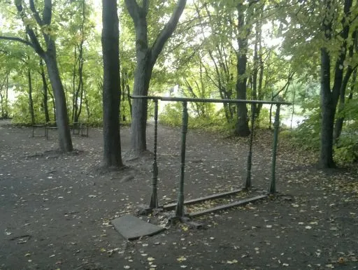 Monkey Bars at Calisthenics Park at Большая Академическая улица, Москва – photo 3 of 7