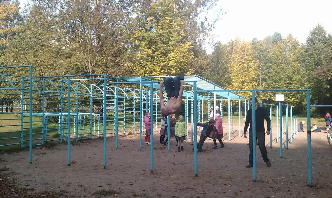 Wall Bars at Calisthenics Park at улица Ушинского, Санкт-Петербург – photo 4 of 5