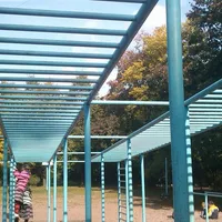 Calisthenics Park at улица Ушинского, Санкт-Петербург - thumbnail 2