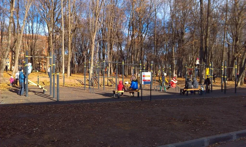 Parallel Gym Bars at Calisthenics Park at улица Демьянова, Тула – photo 2 of 2