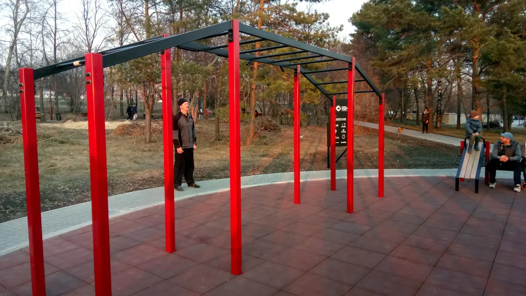 Monkey Bars la Calisthenics Park at Липовая аллея, городской округ Новосибирск – fotografia 3 din 8