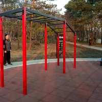 Calisthenics Park at Липовая аллея, городской округ Новосибирск - thumbnail 3