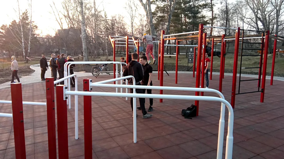 Hiperextensie unghiulară la Calisthenics Park at Липовая аллея, городской округ Новосибирск – fotografia 8 din 8