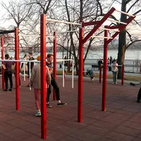 Calisthenics Park at Липовая аллея, городской округ Новосибирск - thumbnail 4