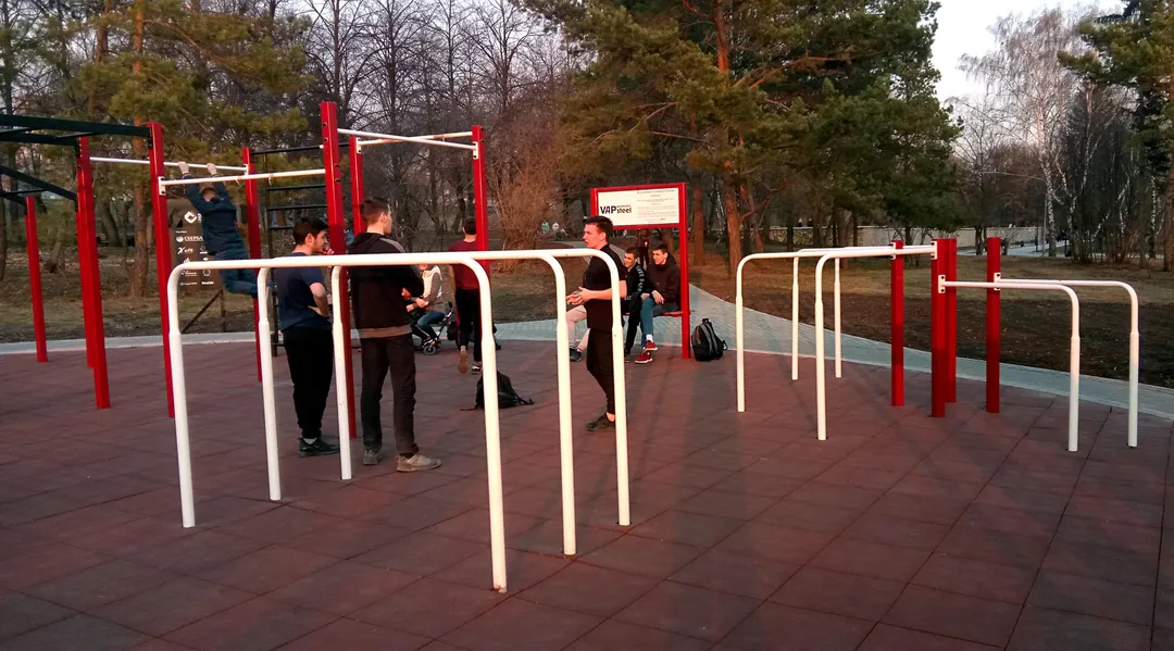 Bară de flotări la Calisthenics Park at Липовая аллея, городской округ Новосибирск – fotografia 6 din 8