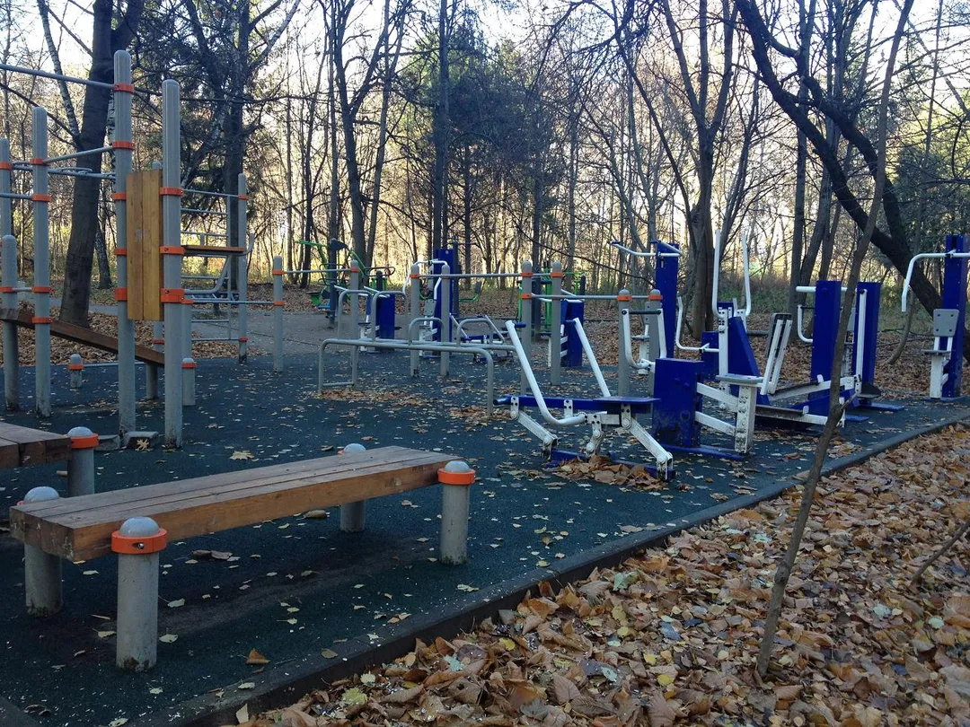 Bară de flotări la Calisthenics Park at Звенигородская улица, Москва – fotografia 2 din 5