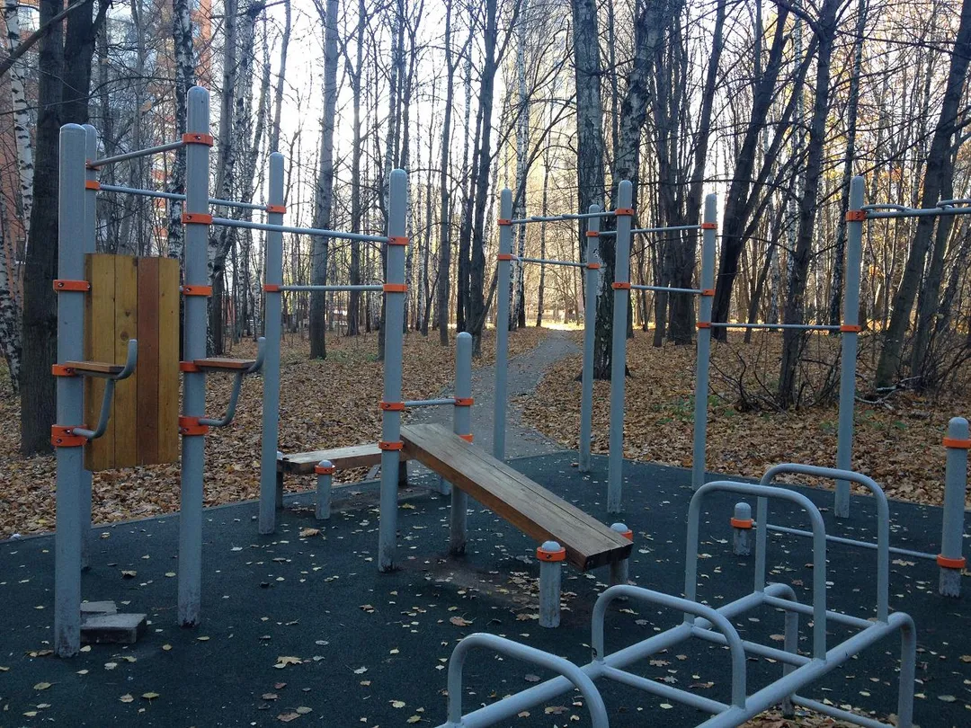 Bară de tracțiuni la Calisthenics Park at Звенигородская улица, Москва – fotografia 1 din 5