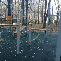 Calisthenics Park at Звенигородская улица, Москва - thumbnail 3