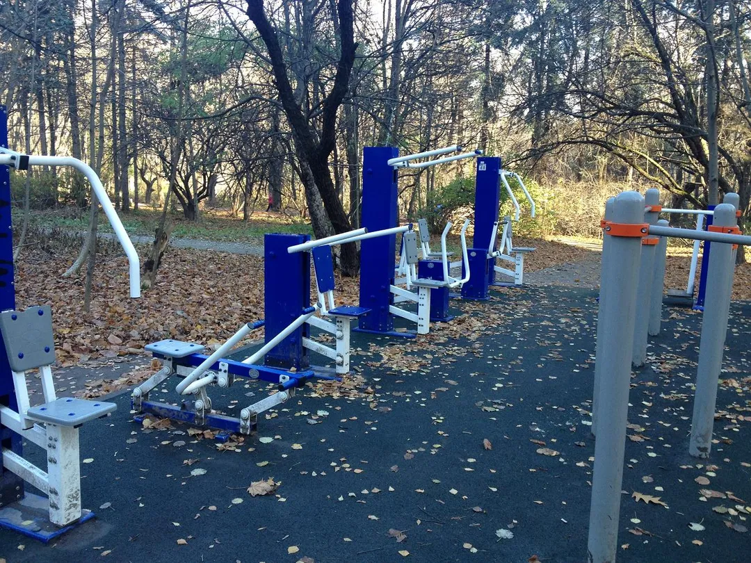 Monkey Bars la Calisthenics Park at Звенигородская улица, Москва – fotografia 4 din 5