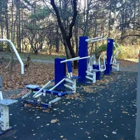 Calisthenics Park at Звенигородская улица, Москва - thumbnail 4