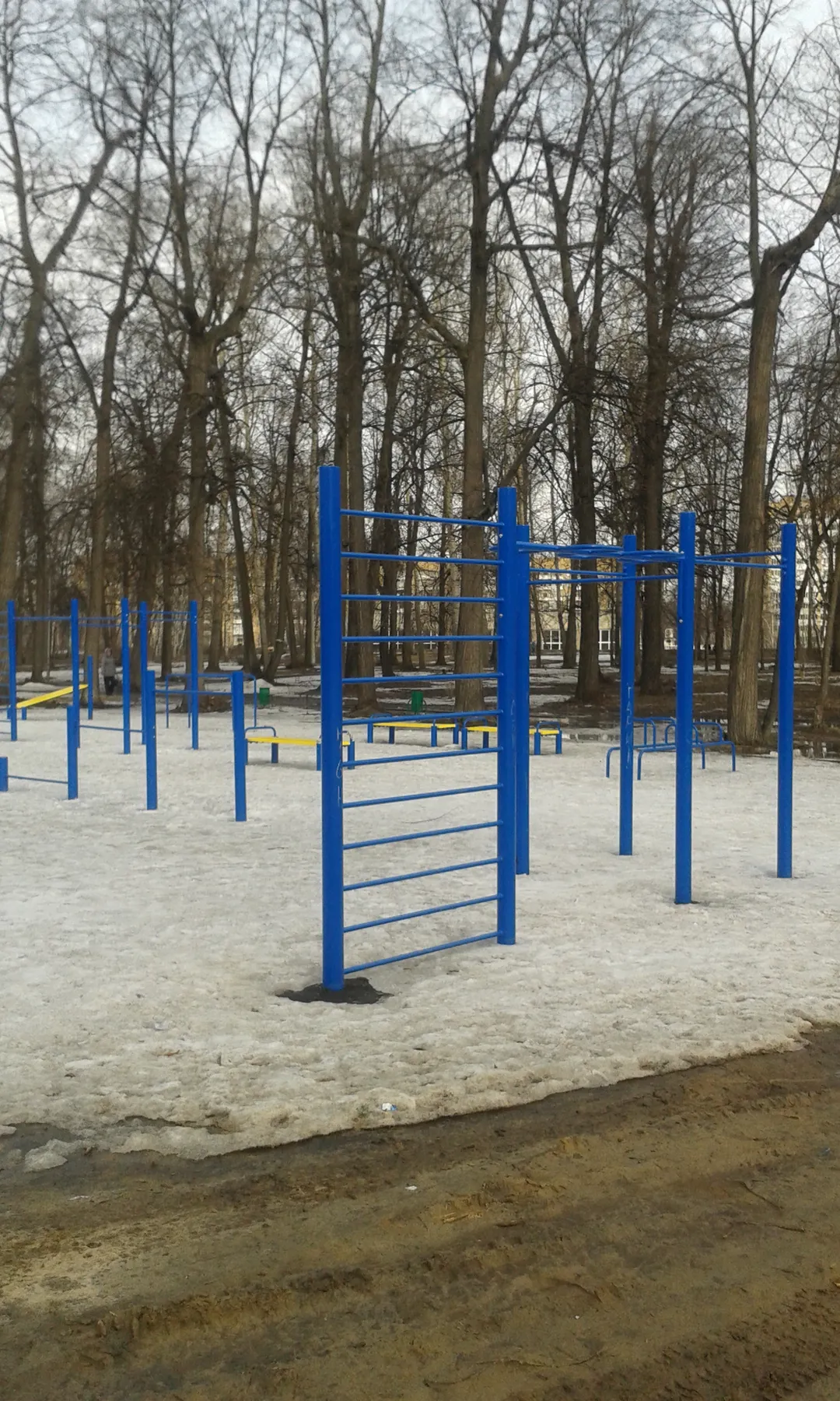 Parallele presso Calisthenics Park at проспект Ямашева, Казань – foto 2 di 5