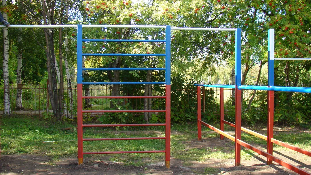 Pull Up Bar at Calisthenics Park at улица Советской Армии, Рязань – photo 17 of 34