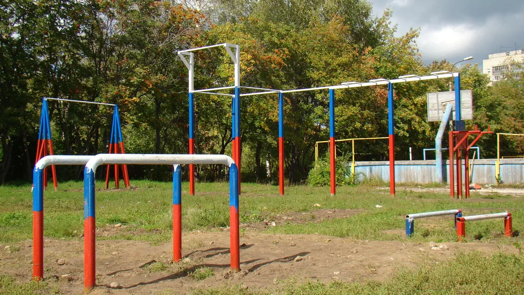 Wall Bars at Calisthenics Park at улица Советской Армии, Рязань – photo 4 of 34