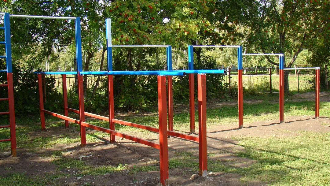 Wall Bars at Calisthenics Park at улица Советской Армии, Рязань – photo 16 of 34
