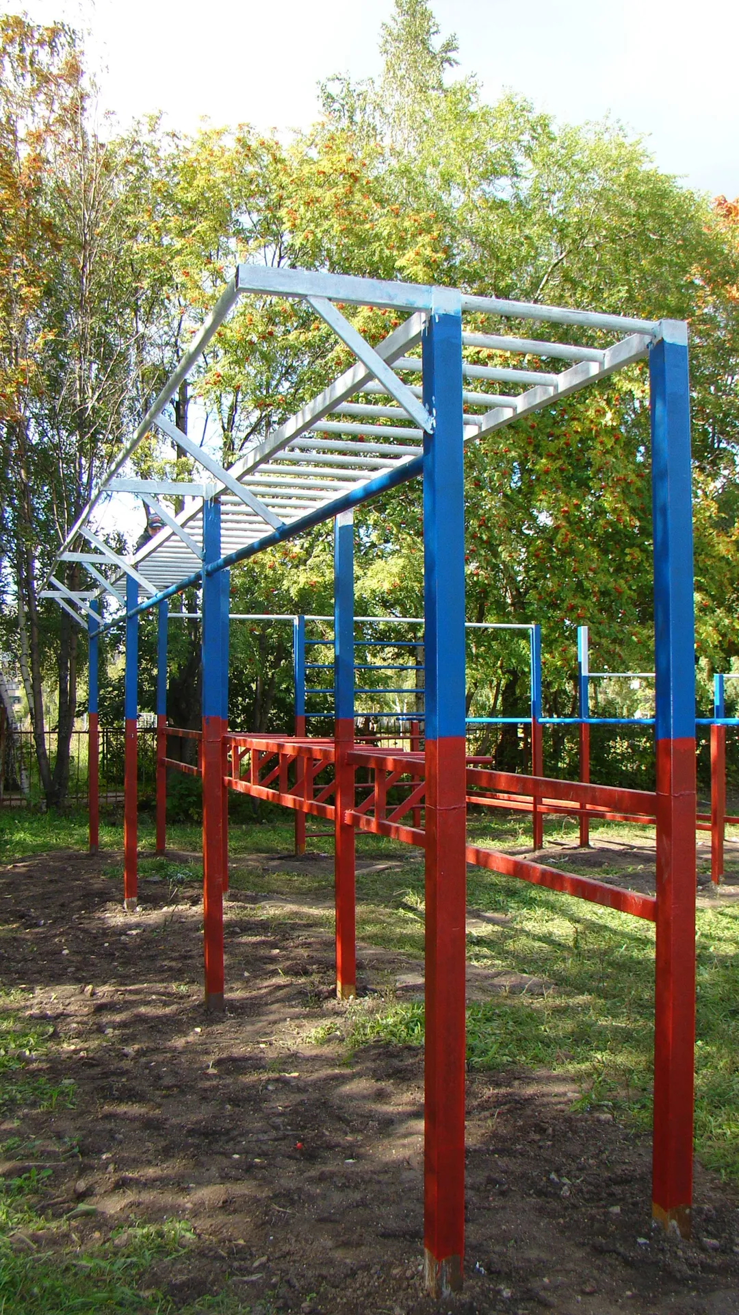 Monkey Bars at Calisthenics Park at улица Советской Армии, Рязань – photo 19 of 34
