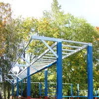 Calisthenics Park at улица Советской Армии, Рязань - thumbnail 19