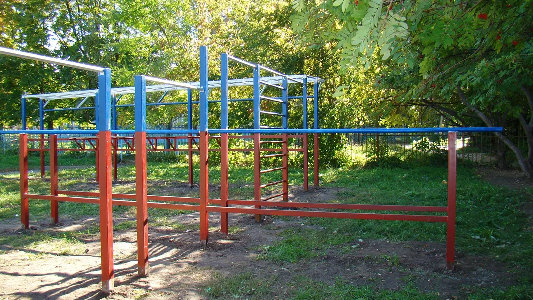 Pull Up Bar at Calisthenics Park at улица Советской Армии, Рязань – photo 13 of 34