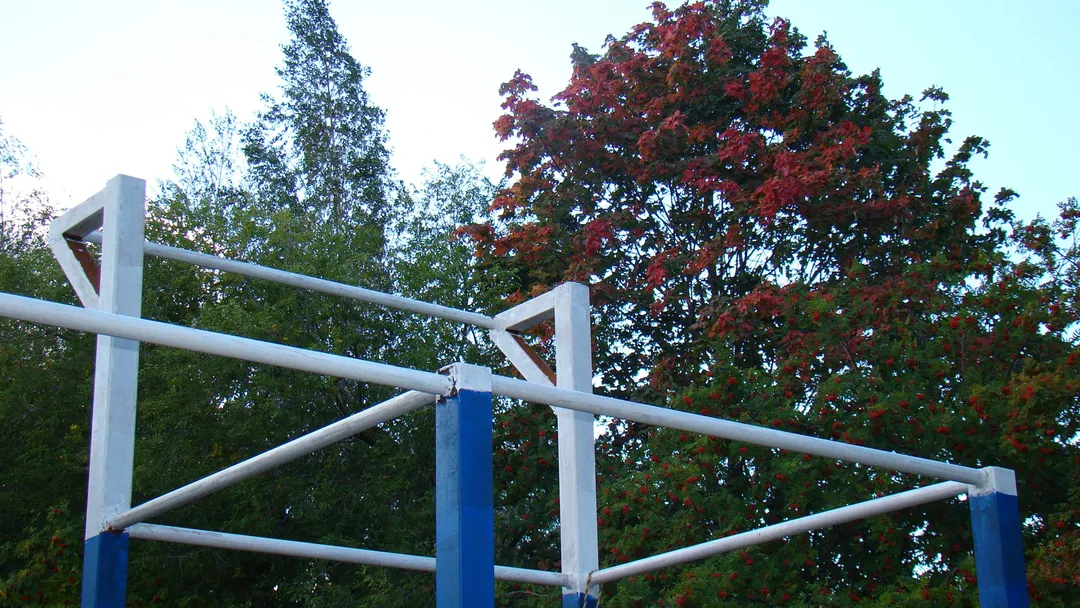 Monkey Bars at Calisthenics Park at улица Советской Армии, Рязань – photo 23 of 34