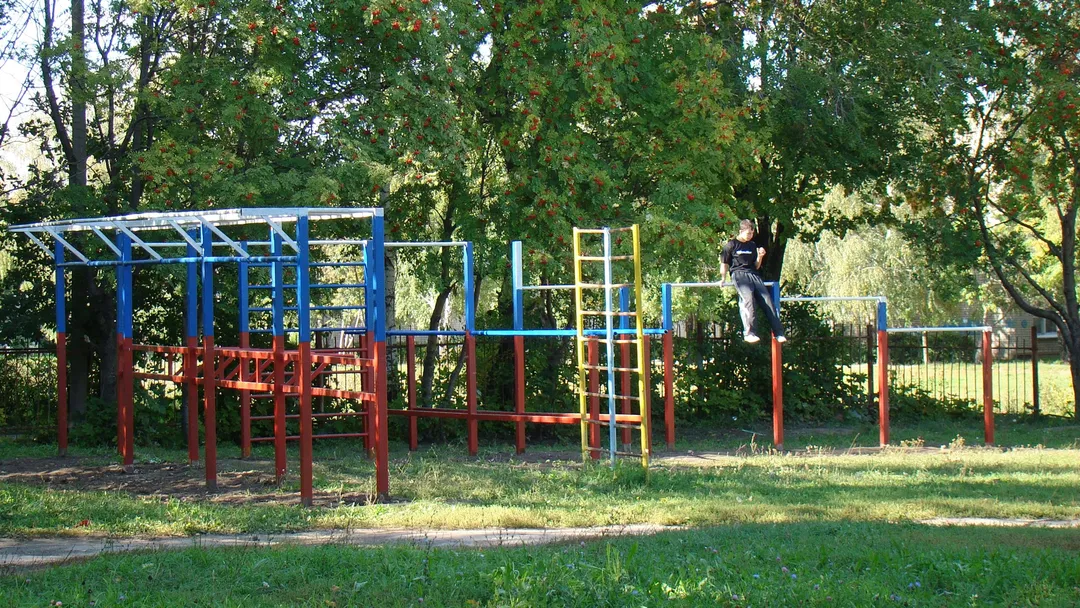 Wall Bars at Calisthenics Park at улица Советской Армии, Рязань – photo 32 of 34