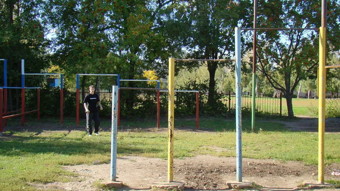 Wall Bars at Calisthenics Park at улица Советской Армии, Рязань – photo 24 of 34