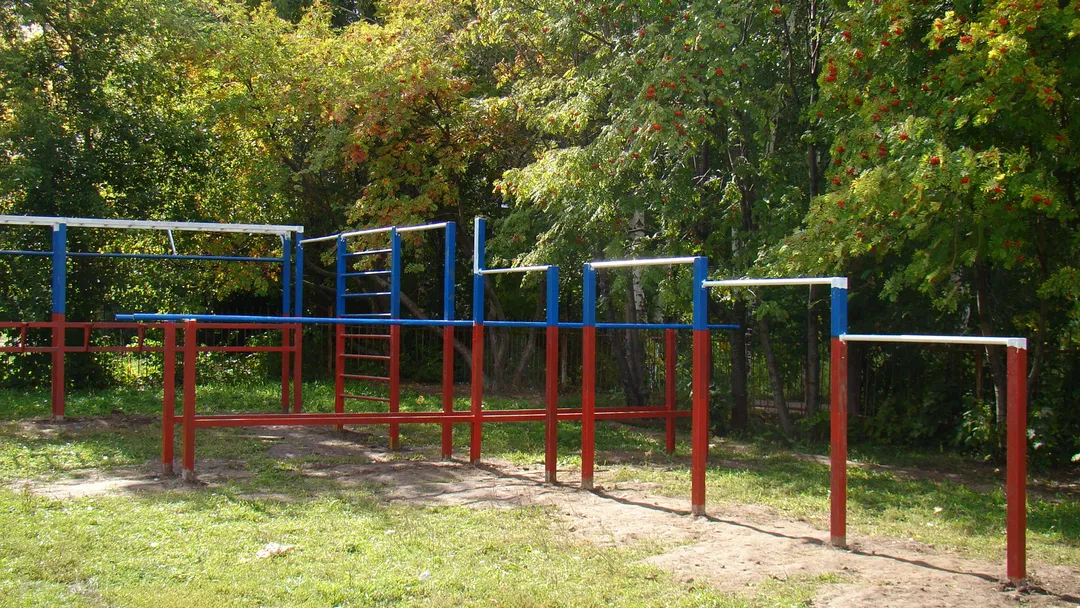 Wall Bars at Calisthenics Park at улица Советской Армии, Рязань – photo 12 of 34