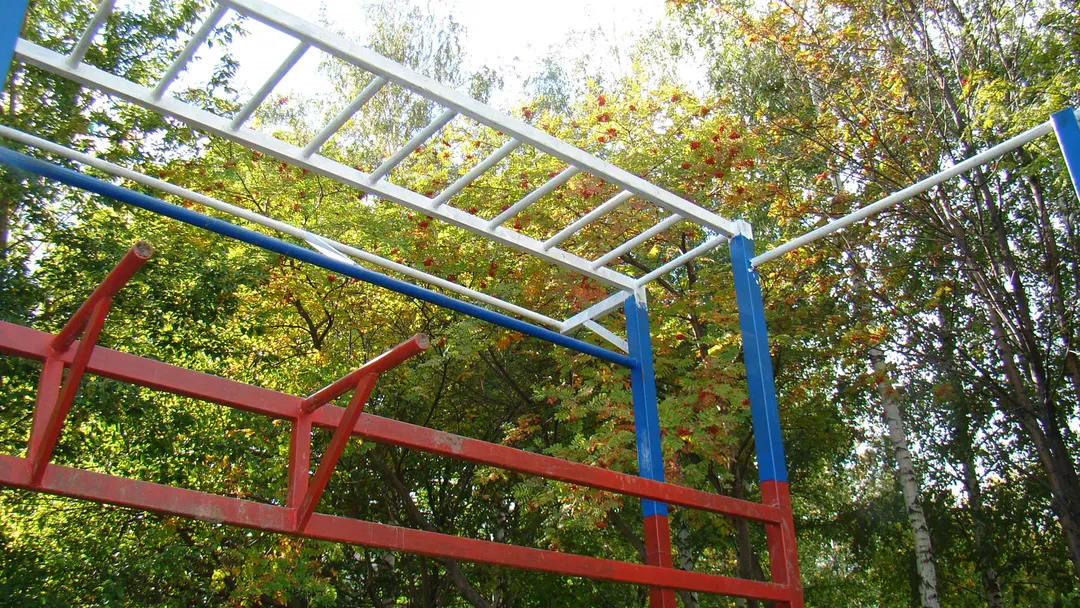 Pull Up Bar at Calisthenics Park at улица Советской Армии, Рязань – photo 21 of 34