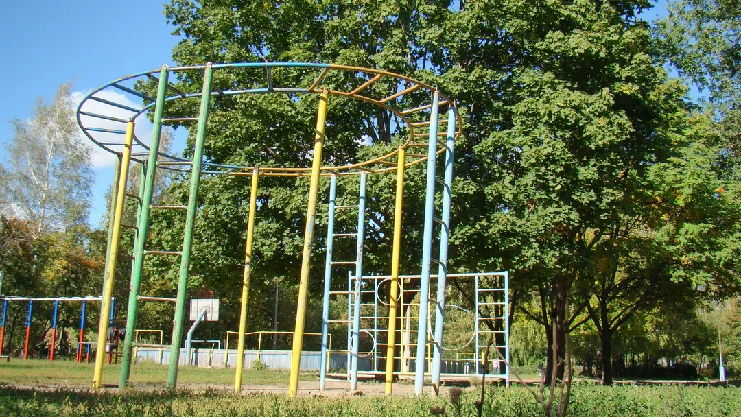 Monkey Bars at Calisthenics Park at улица Советской Армии, Рязань – photo 31 of 34