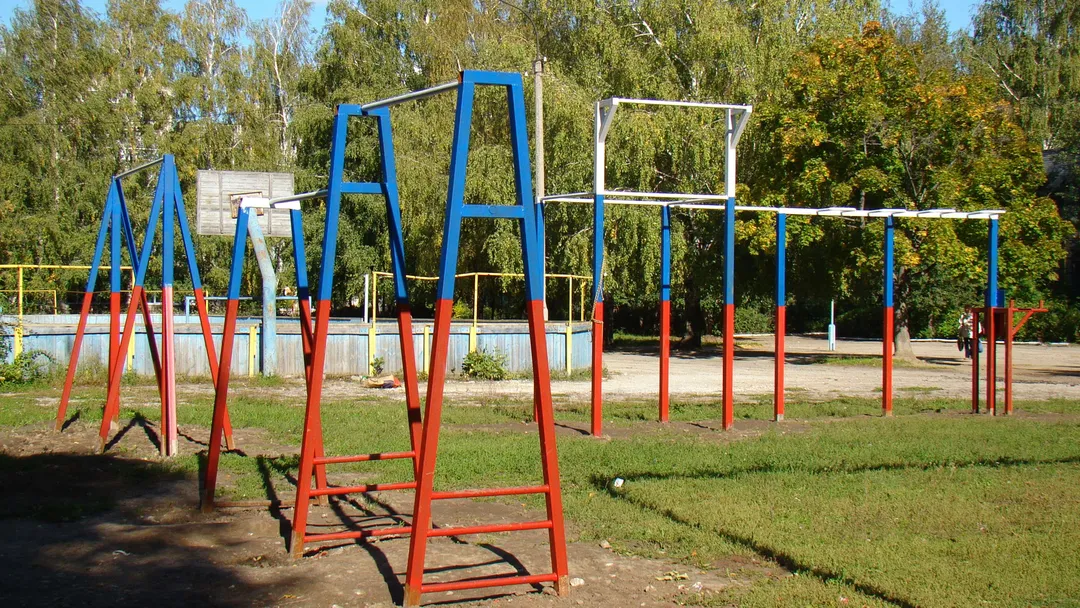Monkey Bars at Calisthenics Park at улица Советской Армии, Рязань – photo 11 of 34