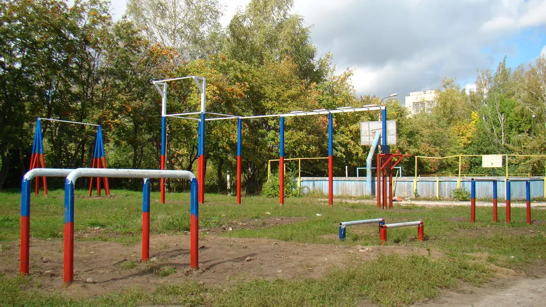 Monkey Bars at Calisthenics Park at улица Советской Армии, Рязань – photo 3 of 34