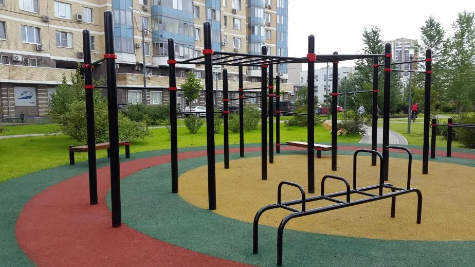 Barres de singe à Calisthenics Park at Соколово-Мещерская улица, Москва – photo 3 sur 3