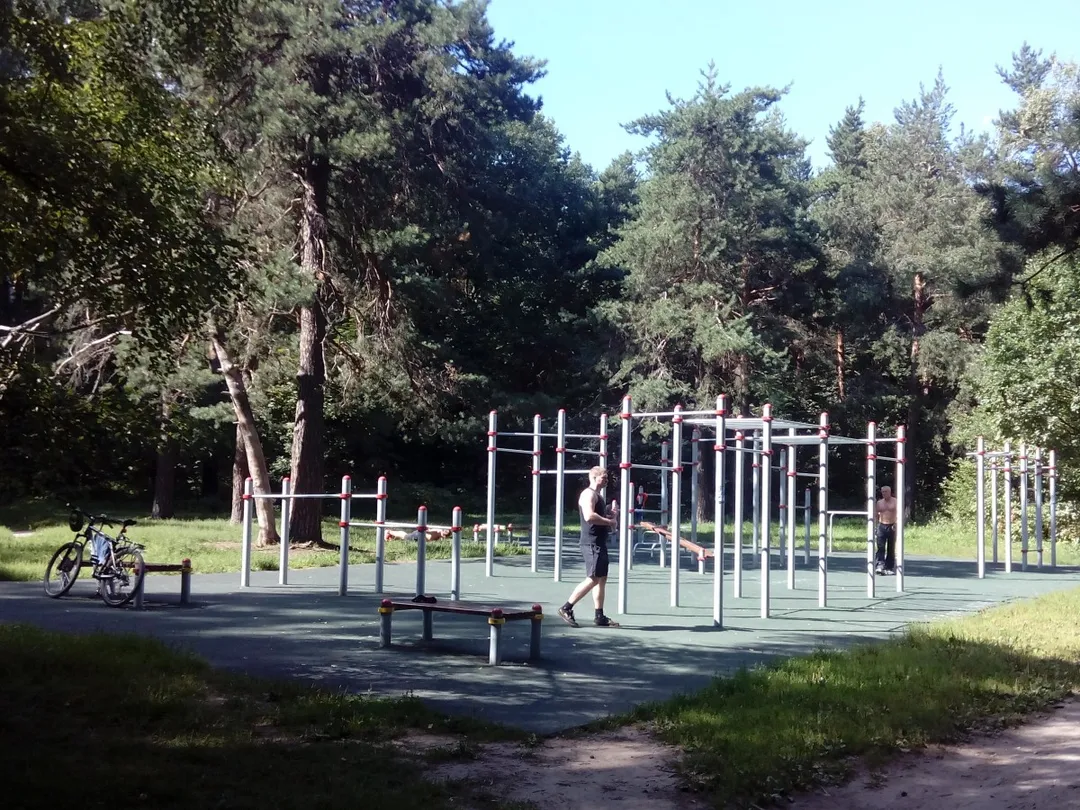 Barra de Dominadas en Calisthenics Park at Кузьминская улица, Москва – foto 1 de 1