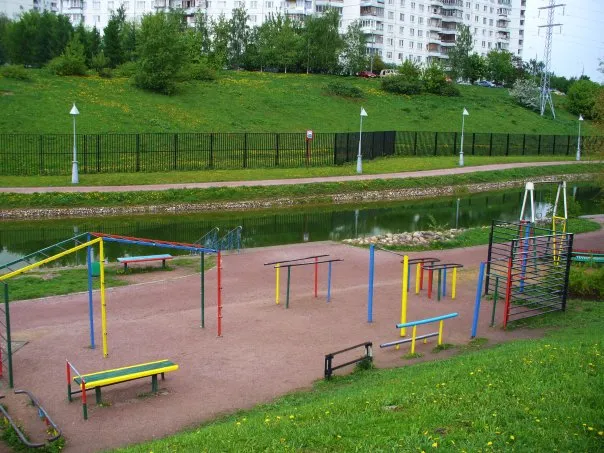 Espalier à Calisthenics Park at улица Раменки, Москва – photo 4 sur 4