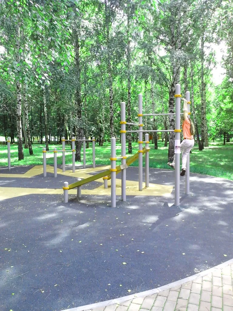 Bară de tracțiuni la Calisthenics Park at проезд Шокальского, Москва – fotografia 1 din 4