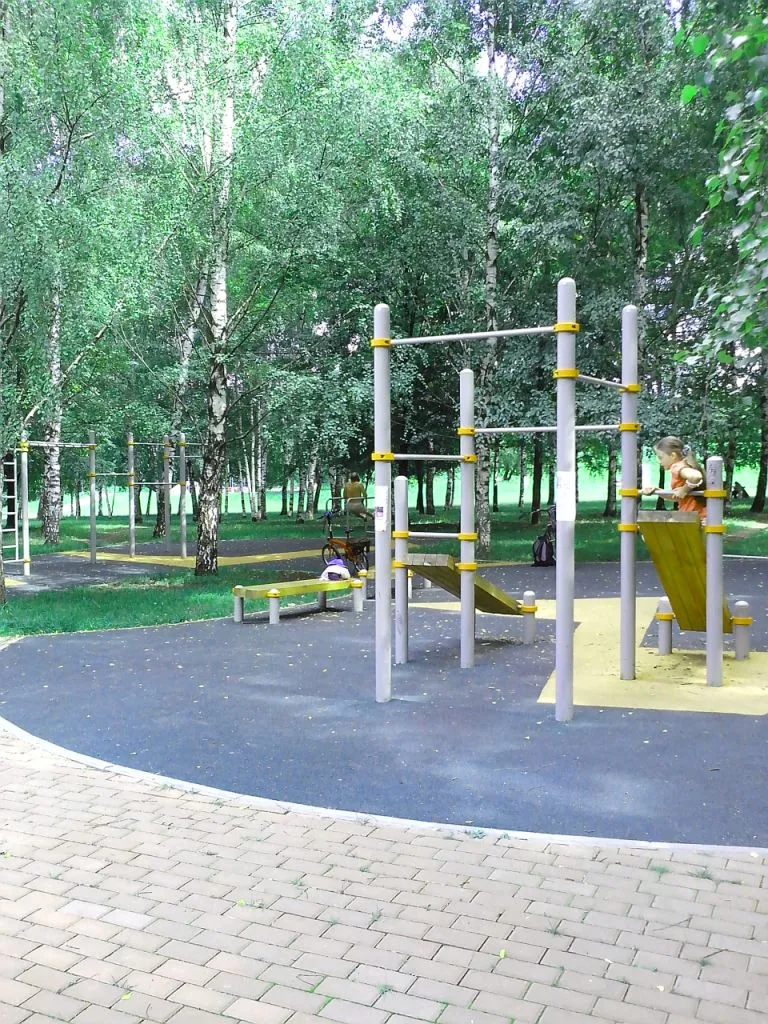 Monkey Bars la Calisthenics Park at проезд Шокальского, Москва – fotografia 3 din 4