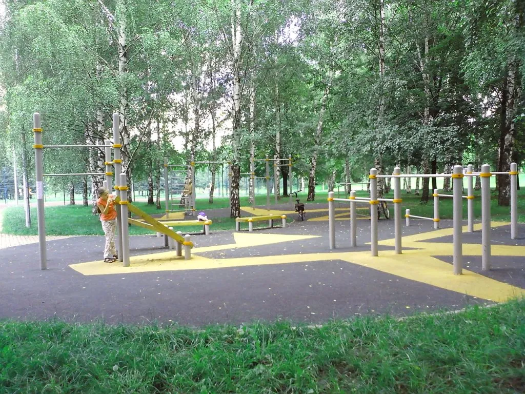 Spalier la Calisthenics Park at проезд Шокальского, Москва – fotografia 4 din 4