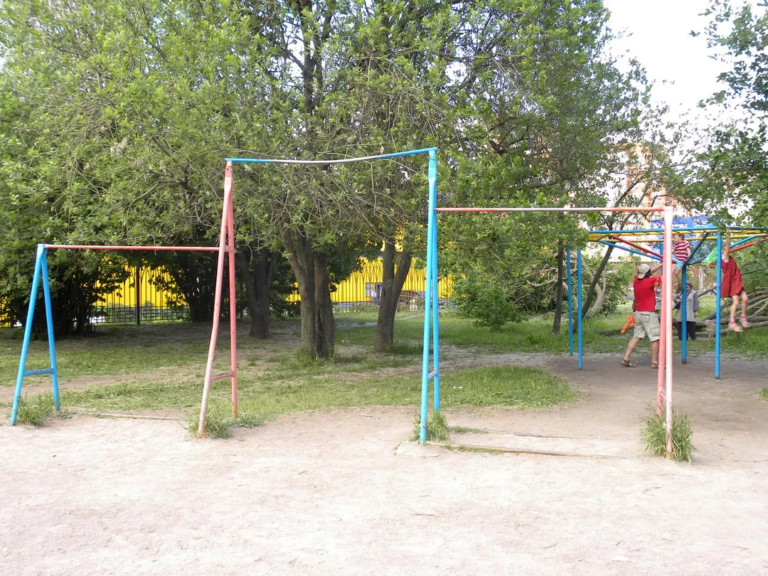 Barres de singe à Calisthenics Park at улица Академика Пилюгина, Москва – photo 3 sur 4