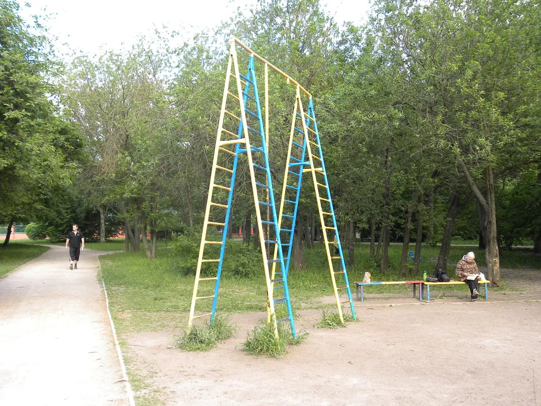Espalier à Calisthenics Park at улица Академика Пилюгина, Москва – photo 4 sur 4
