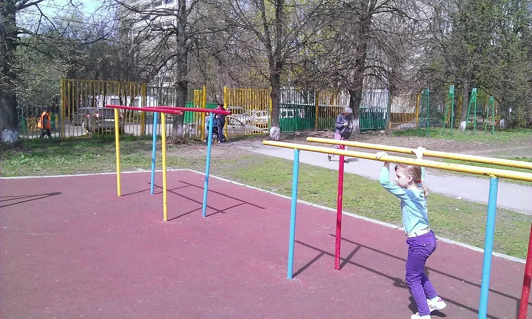 Barres de singe à Calisthenics Park at Чертановская улица, Москва – photo 3 sur 3