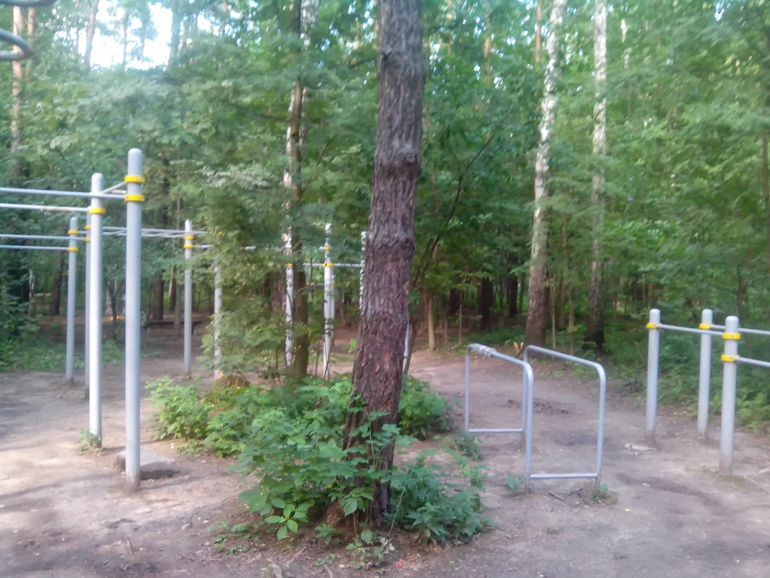 Barras Paralelas en Calisthenics Park at Главная дорога, Москва – foto 2 de 4