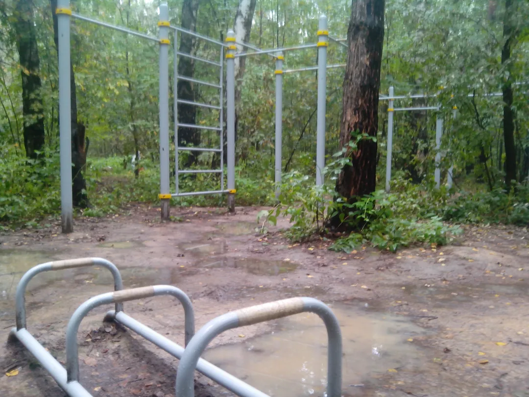 Barra de Dominadas en Calisthenics Park at Главная дорога, Москва – foto 1 de 4