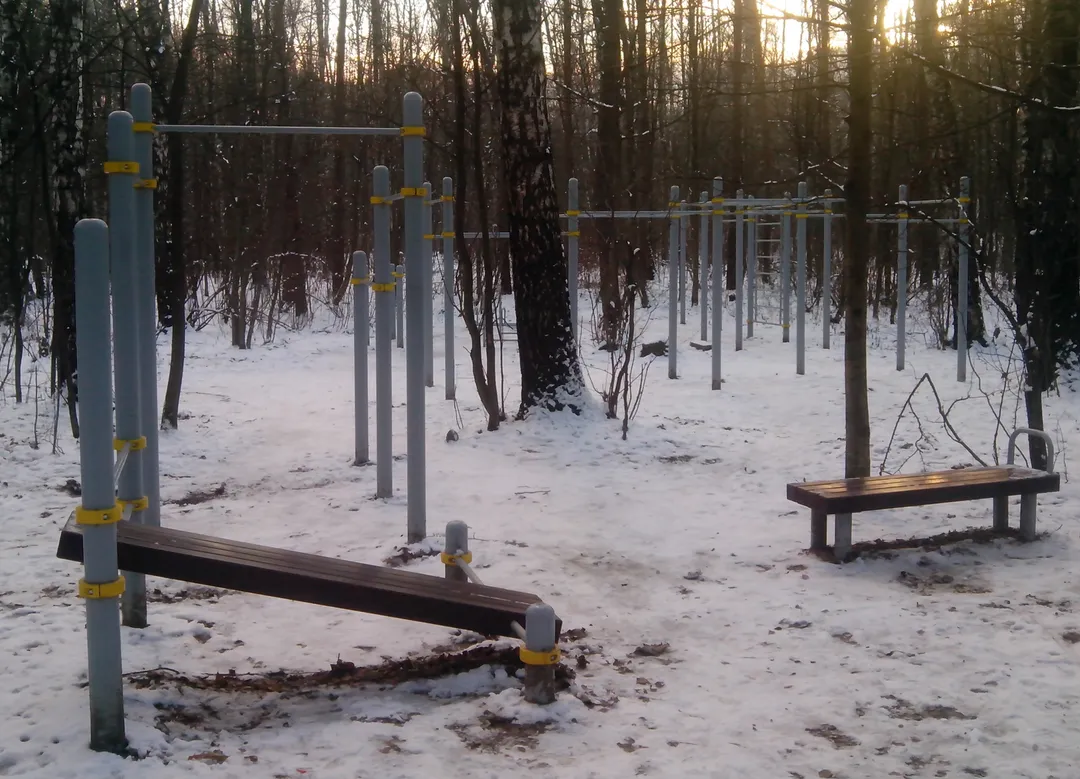 Espalderas en Calisthenics Park at Главная дорога, Москва – foto 3 de 4