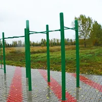 Calisthenics Park at Кубанская улица, Красноярск - thumbnail 4