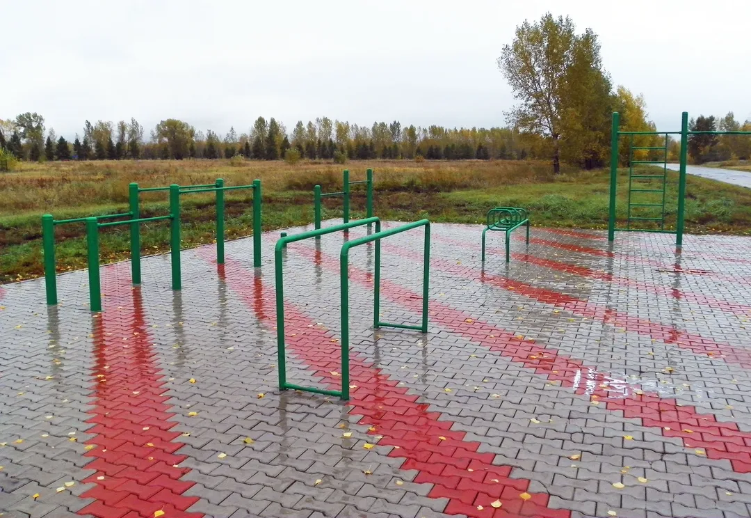 Monkey Bars la Calisthenics Park at Кубанская улица, Красноярск – fotografia 3 din 5
