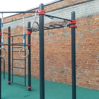 Calisthenics Park at улица Льва Толстого, Москва - thumbnail 2